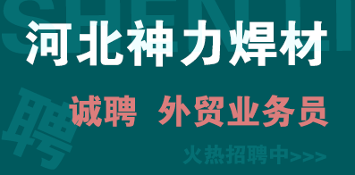 河北神力焊材有限公司