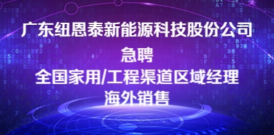 广东纽恩泰新能源科技股份有限公司