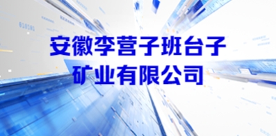 安徽李营子班台子矿业有限公司