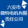 六安市微特电机有限责任公司