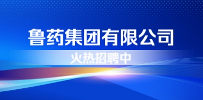 鲁药集团有限公司